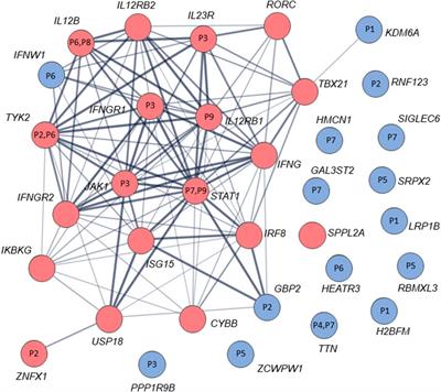 Candidate genes and sequence variants for susceptibility to mycobacterial infection identified by whole-exome sequencing